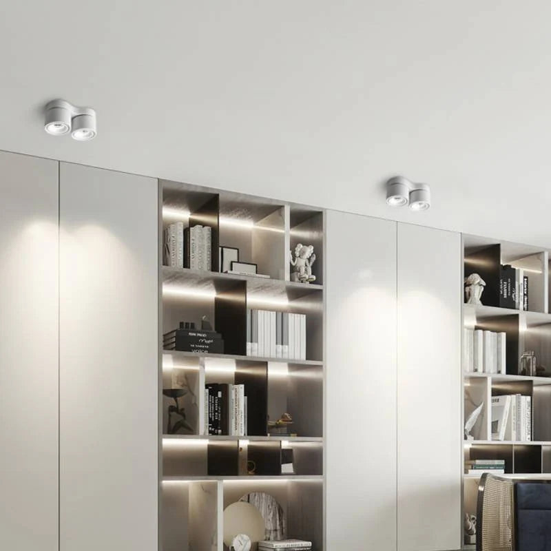 Double_head_Rotating_Ceiling_Lamp_10