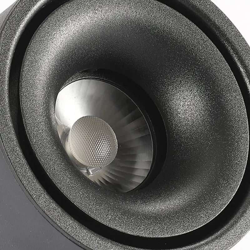 Double_head_Rotating_Ceiling_Lamp_12