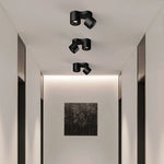 Double_head_Rotating_Ceiling_Lamp_3