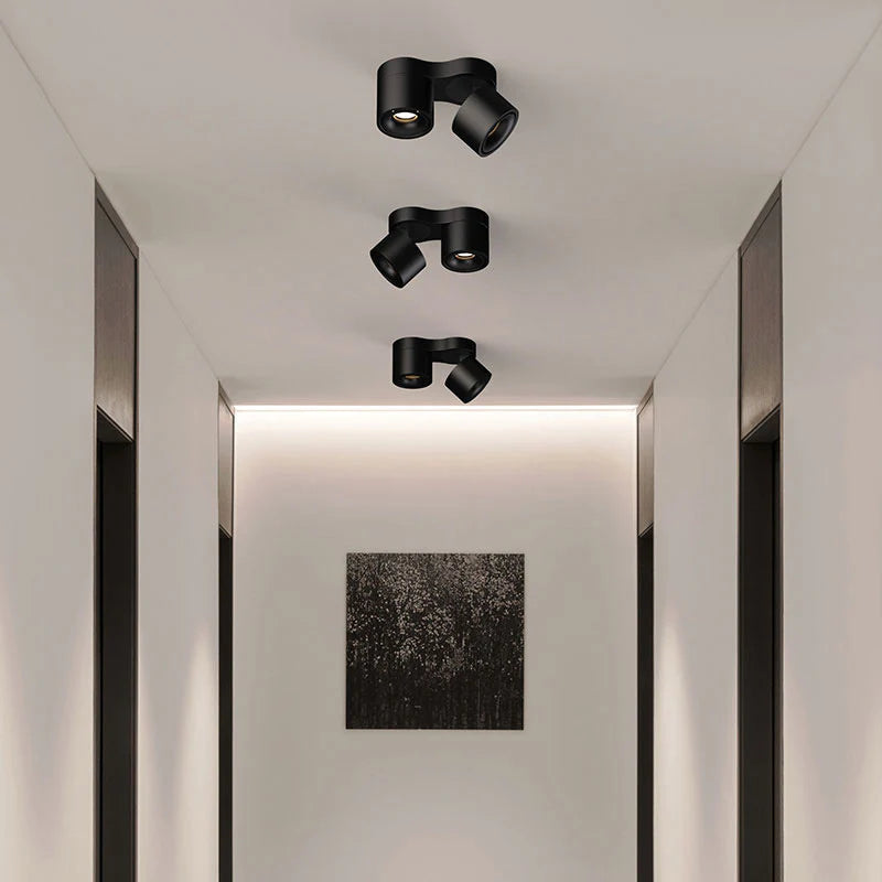 Double_head_Rotating_Ceiling_Lamp_3