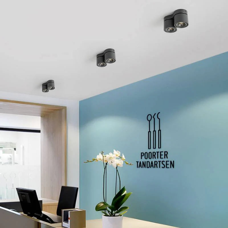 Double_head_Rotating_Ceiling_Lamp_6