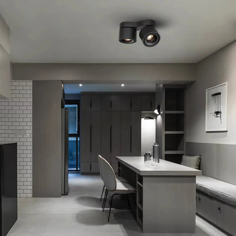 Double_head_Rotating_Ceiling_Lamp_7