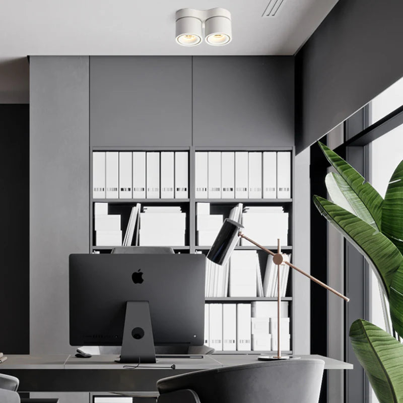 Double_head_Rotating_Ceiling_Lamp_8