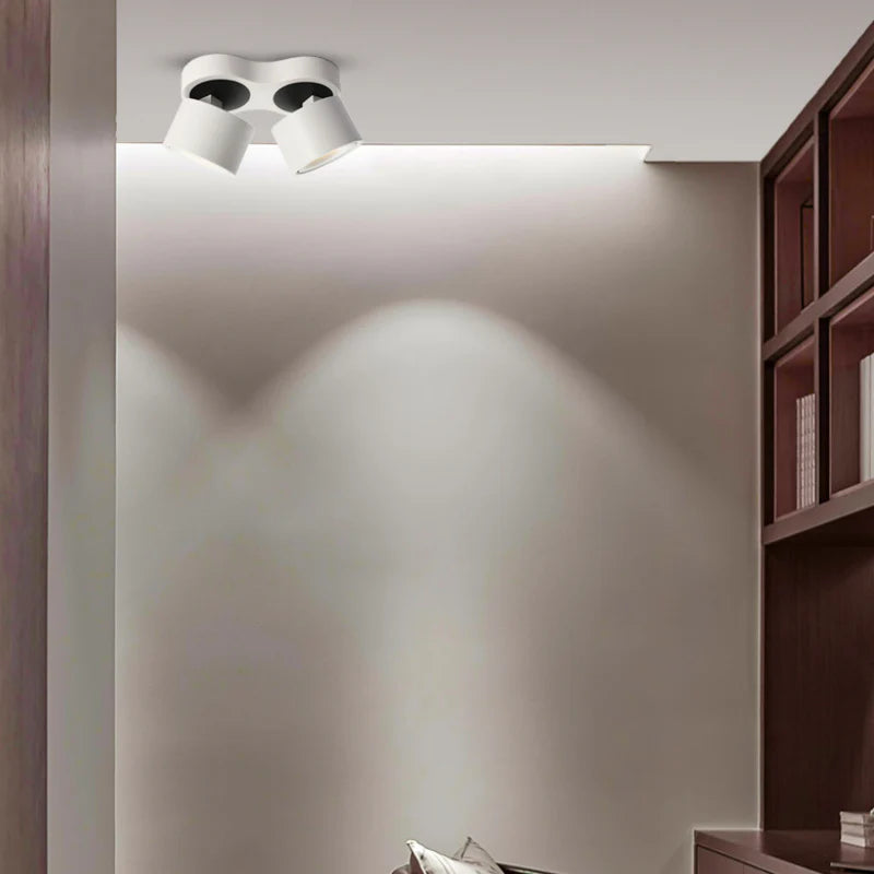 Double_head_Rotating_Ceiling_Lamp_9