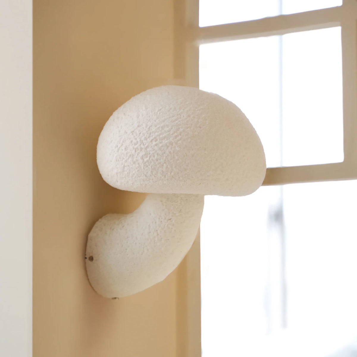 Mushroom Wall Sconce adds a touch of natural charm to the hallway