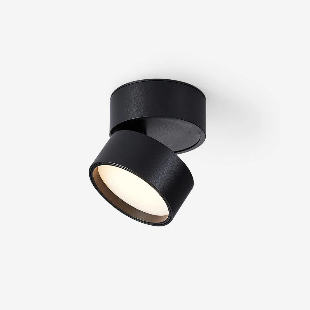 Favilla_Surface_Ceiling_Lamp_1