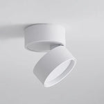 Favilla_Surface_Ceiling_Lamp_16