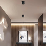 Favilla_Surface_Ceiling_Lamp_20