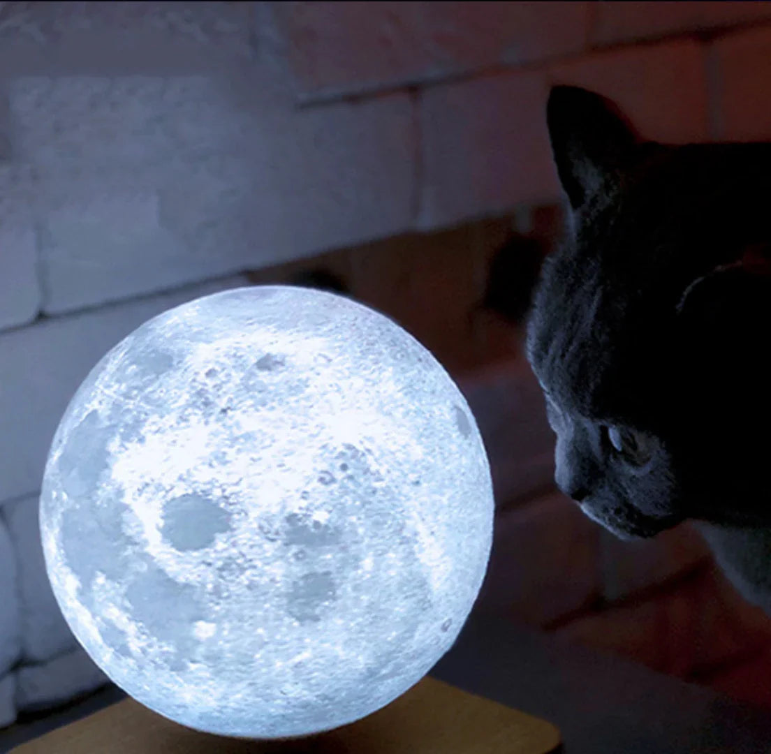 Floating Moon Table Lamp 18