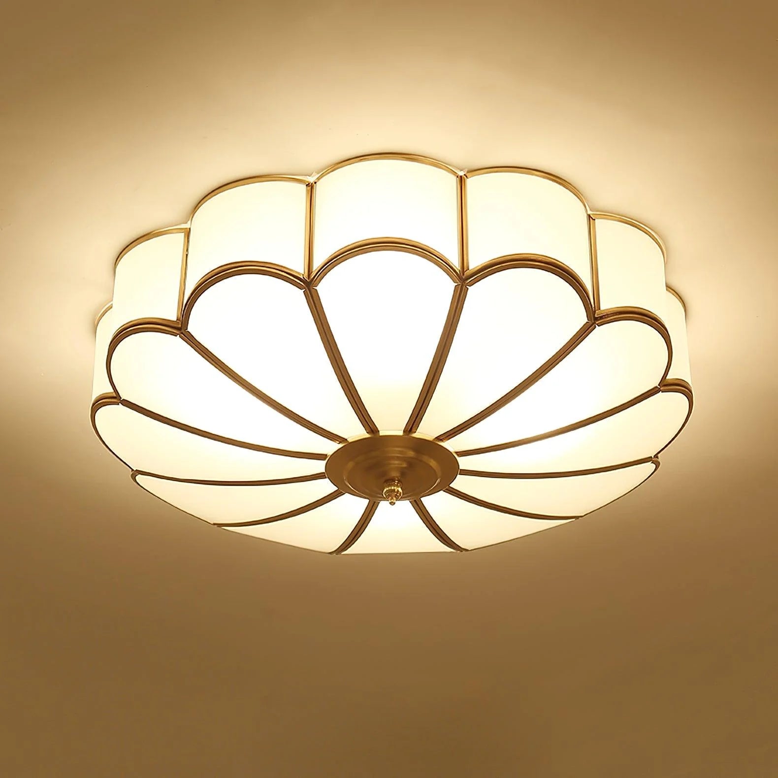 Flower_Shape_Glass_Ceiling_Light_19