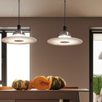 Frisb_Pendant_Light_2