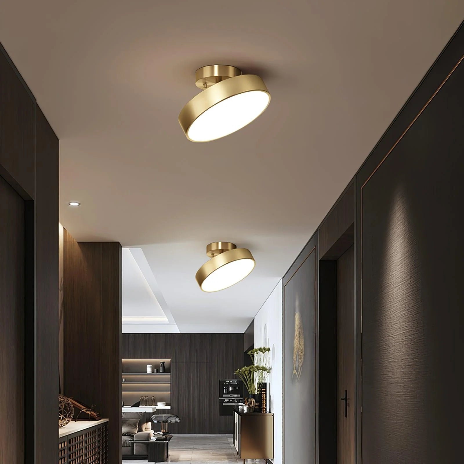 Hero_Rotating_Ceiling_Lamp_4