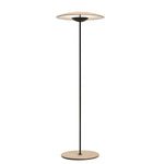 Innovative_Directional_Floor_Lamp_16