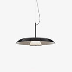 Iride_French_Pendant_Lamp_7