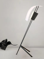 Kite Floor Lamp 27