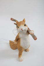 Little Squirrel Table Lamp-27