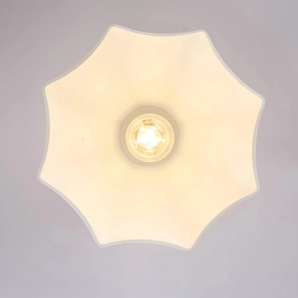 Livex_Ceiling_Light_10