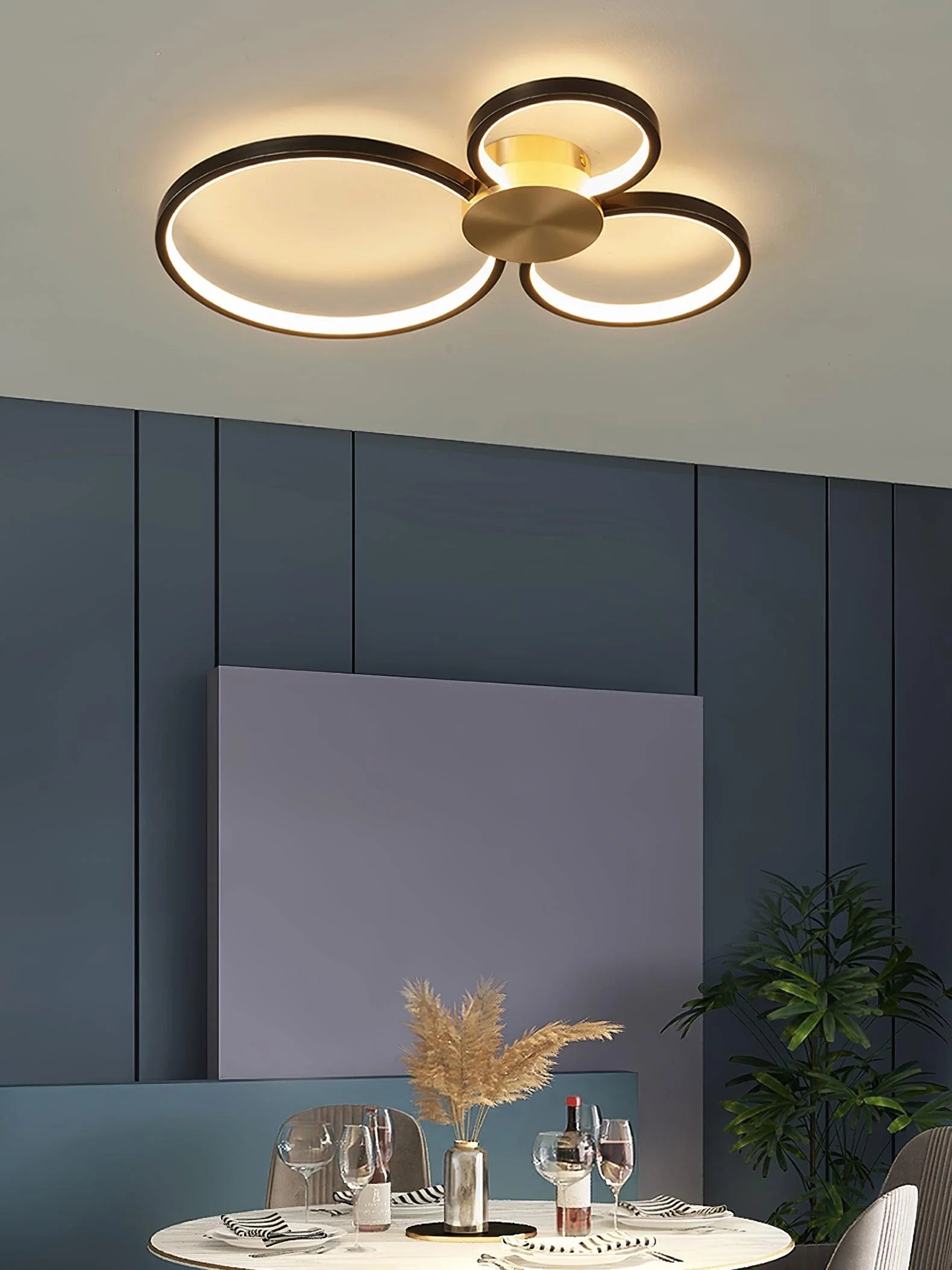 Loop_LED_Ceiling_Light_21