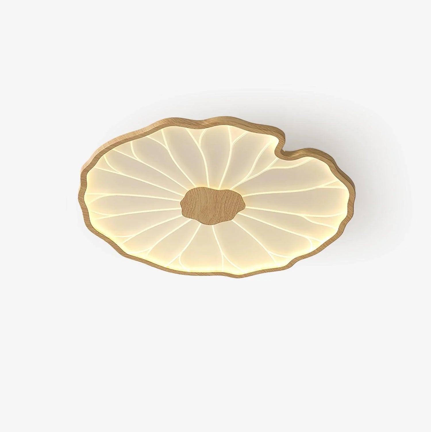 Lotus_Leaf_Creative_Ceiling_Light_53