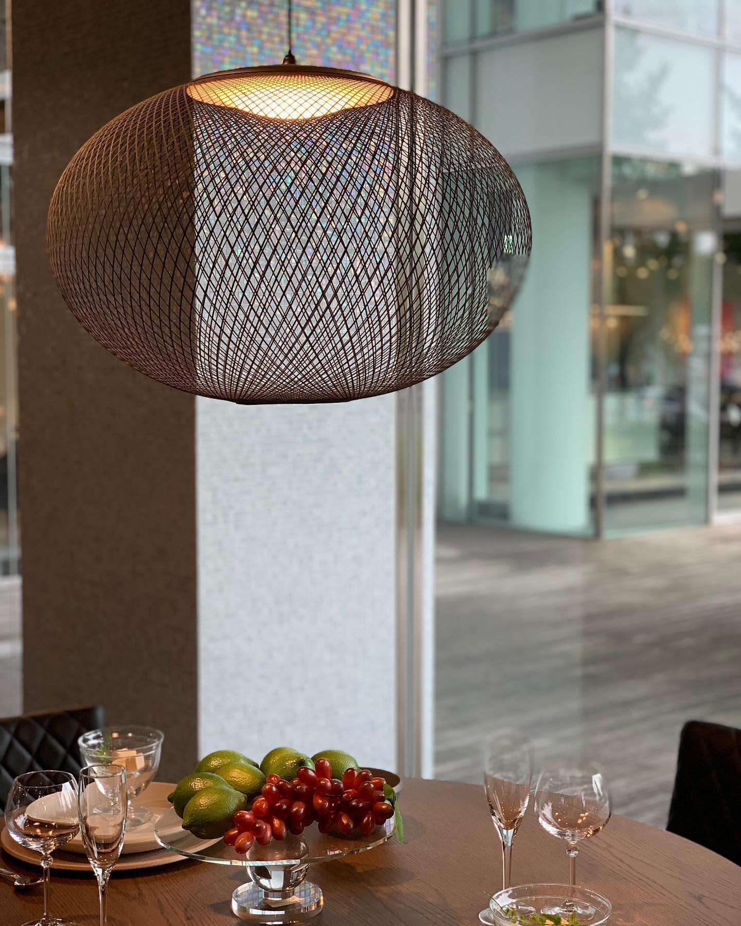 Metallic_Meshwork_Pendant_Lamp_33