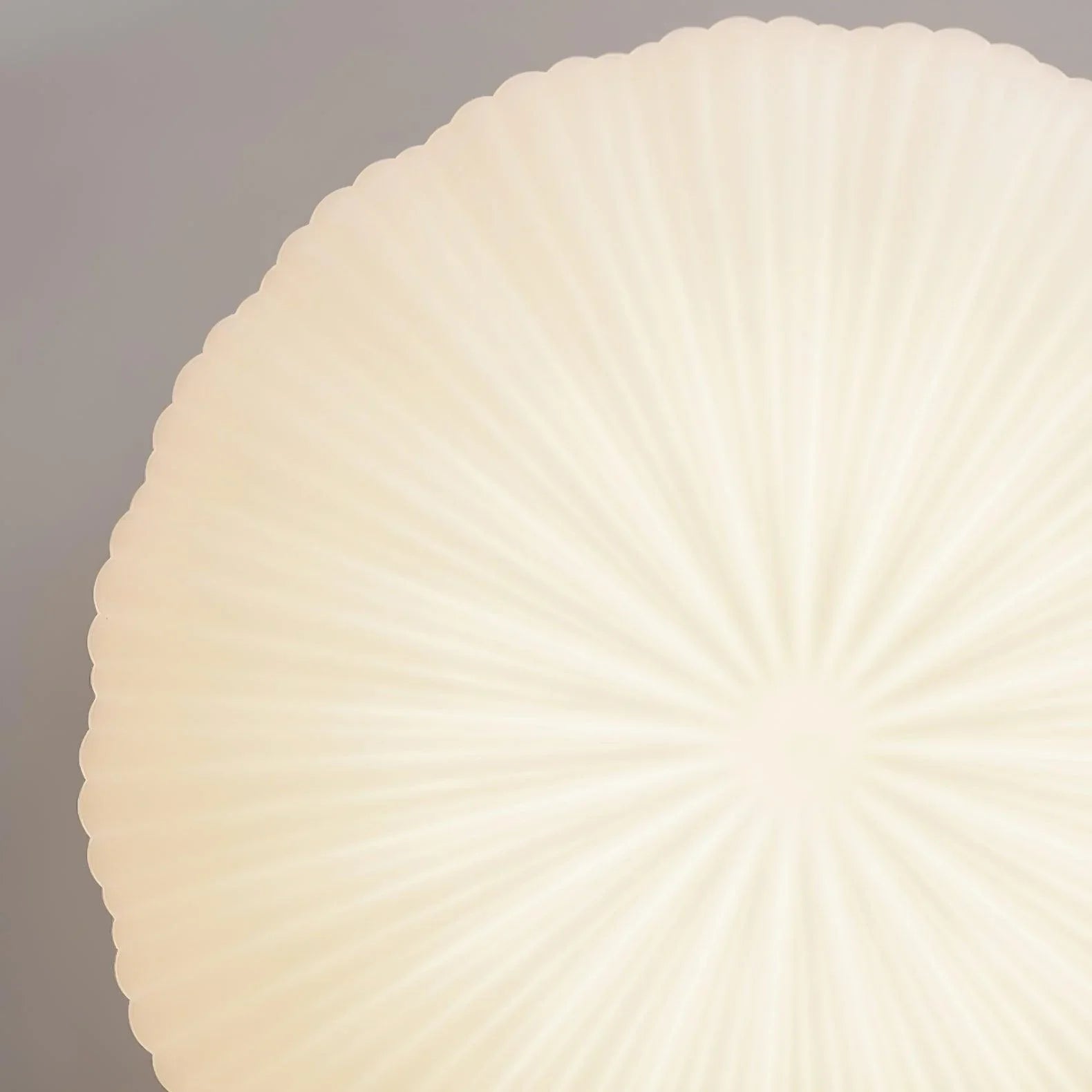 Minimalist_Shell_Round_Ceiling_Light_7