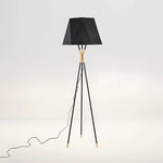 Minimalist_Triangular_Floor_Lamp_4