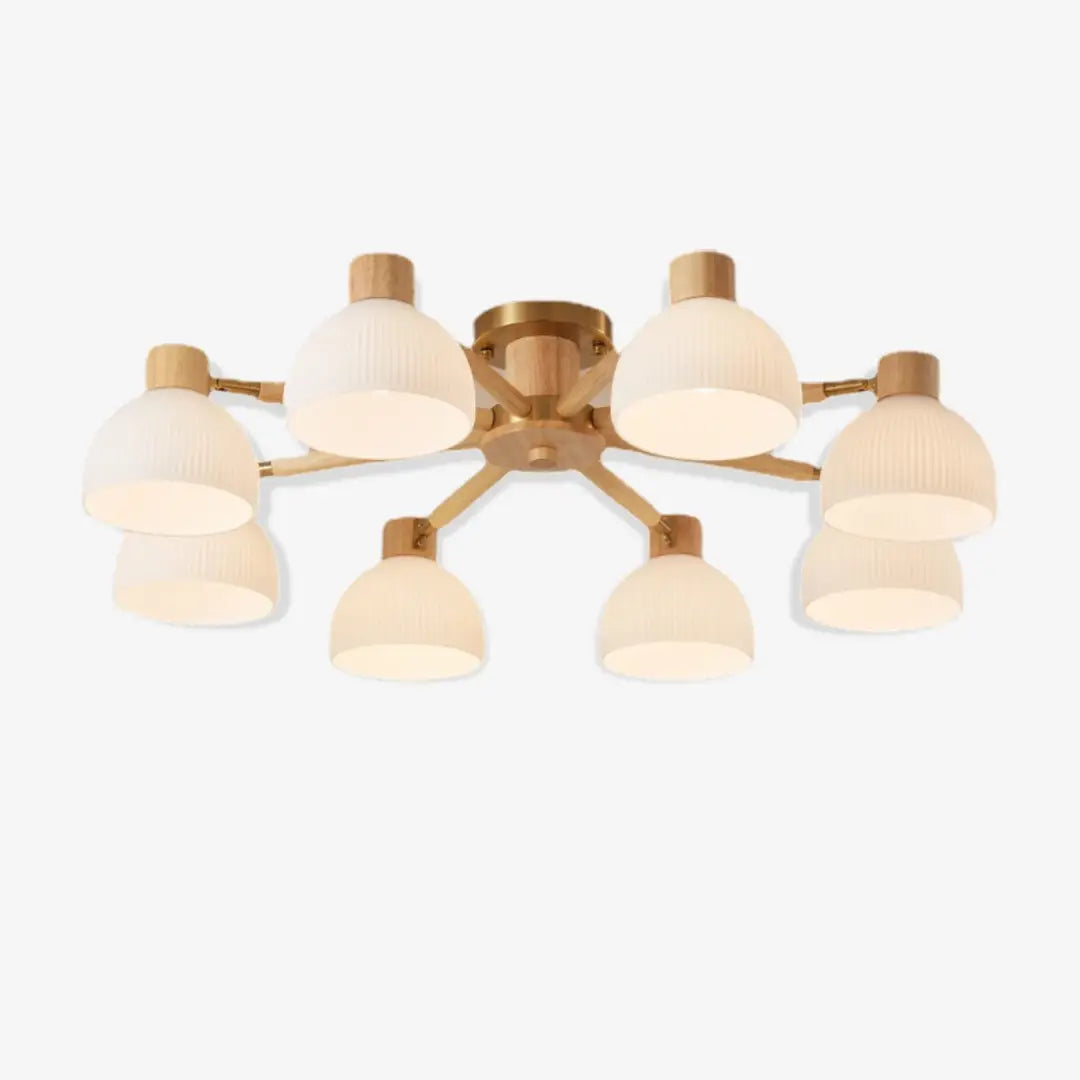Modern_Flairis_Ceiling_Lamp_1