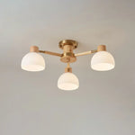 Modern_Flairis_Ceiling_Lamp_2