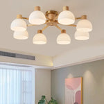 Modern_Flairis_Ceiling_Lamp_5