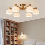 Modern_Flairis_Ceiling_Lamp_6