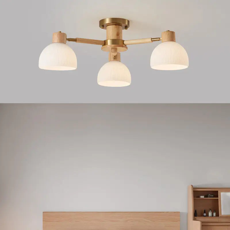 Modern_Flairis_Ceiling_Lamp_7