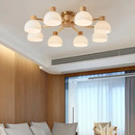 Modern_Flairis_Ceiling_Lamp_9