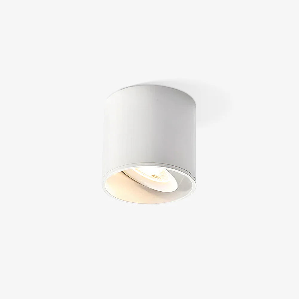 Modupoint_Ceiling_Light