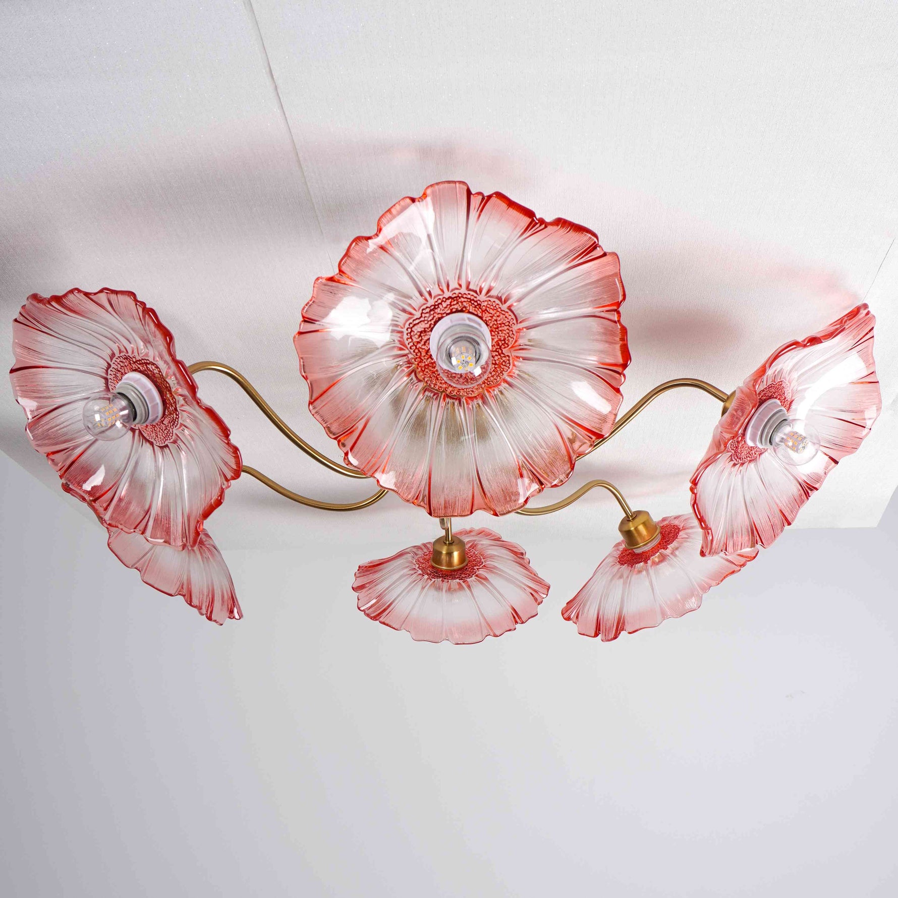 Even without turning on the lights, petal shaped ceiling lights still print the shape of flowers on the ceiling