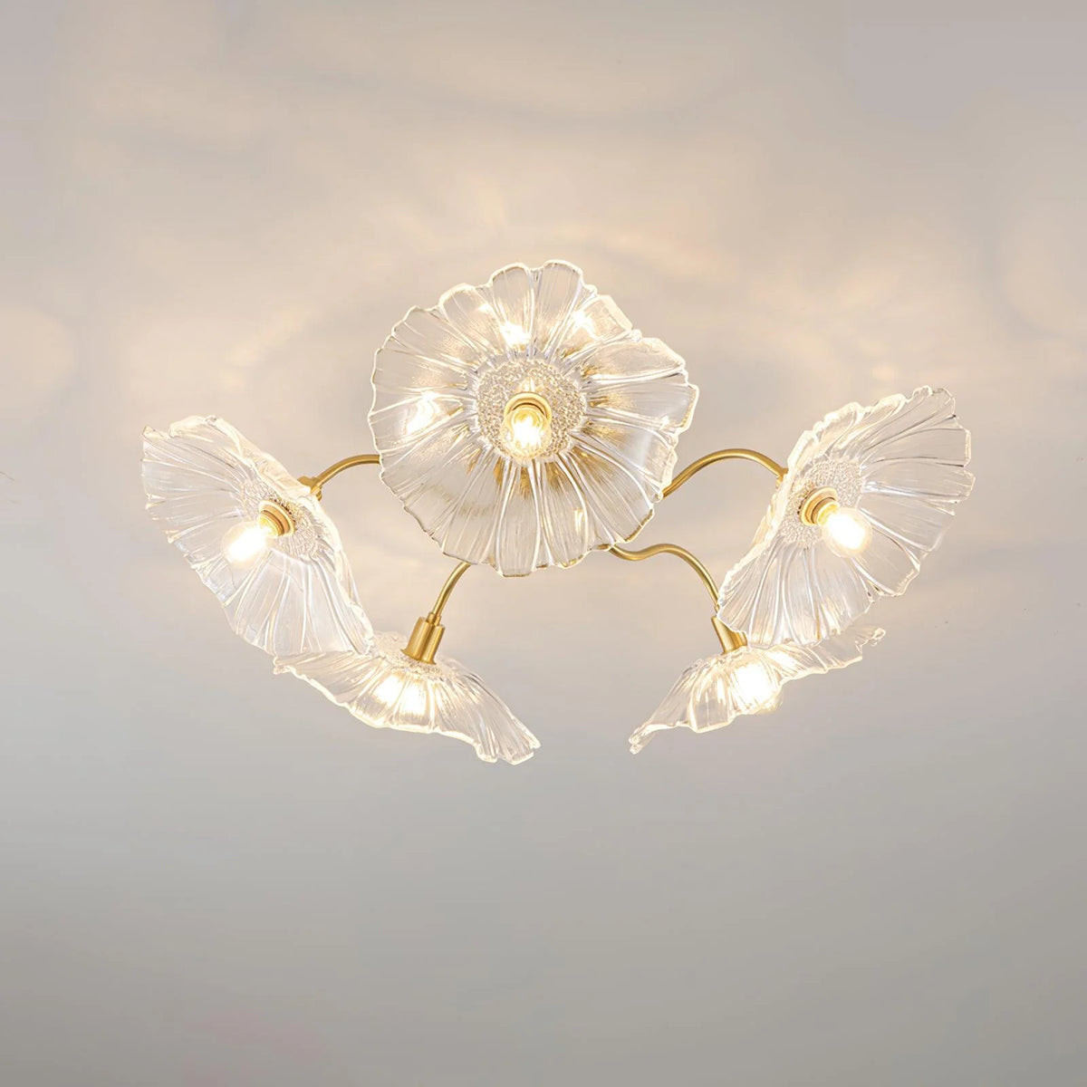 Display of the clear petal ceiling lamp