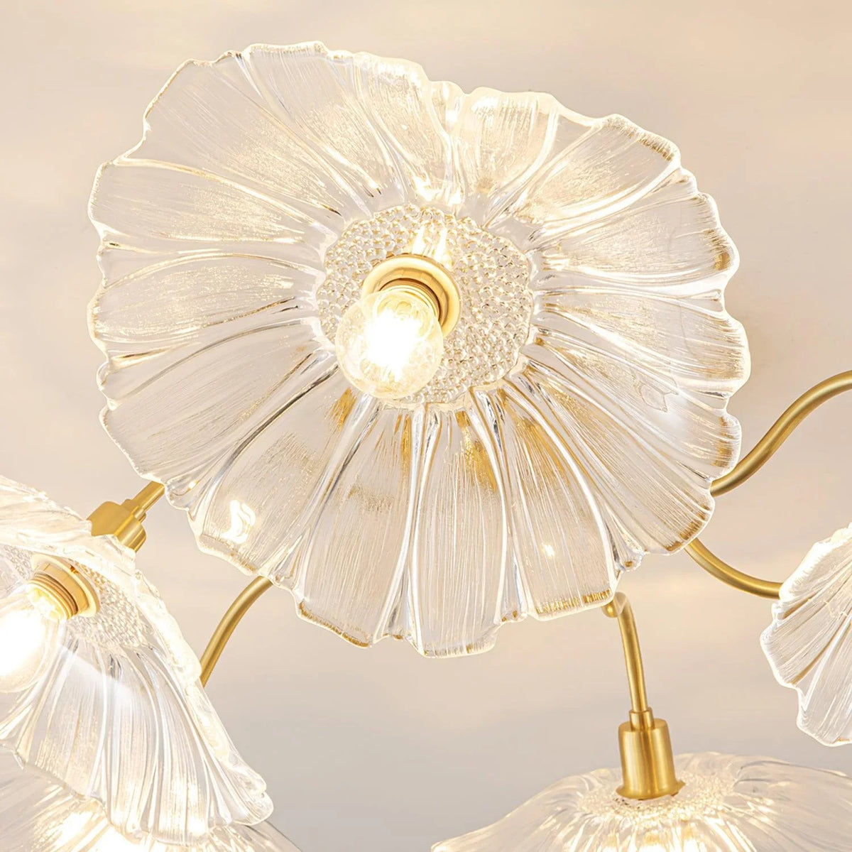 Murano glass lamp clear light petal close-up