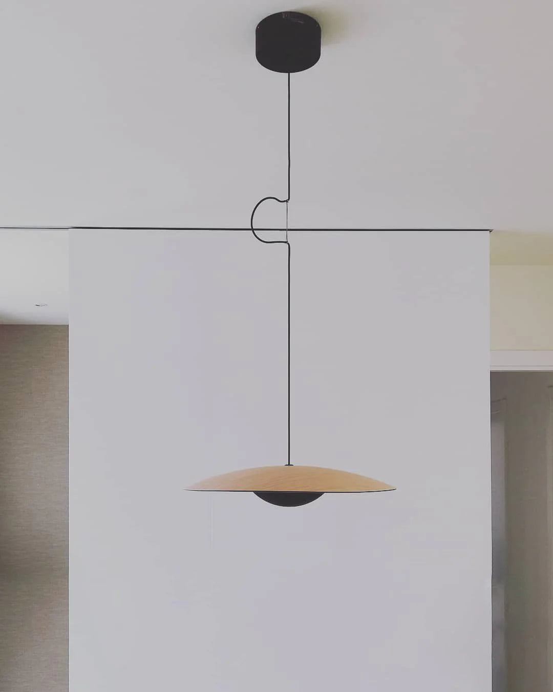 Nordic_Ginger_Pendant_Light__8