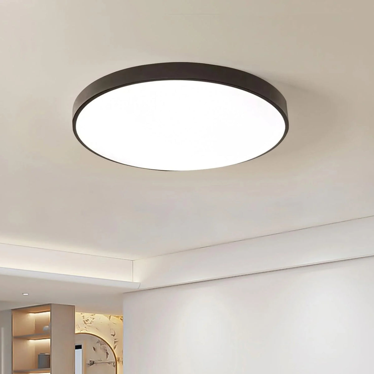 Orion_Circular_Ceiling_Light_2