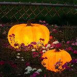 Outdoor Pumpkin Lamp 3