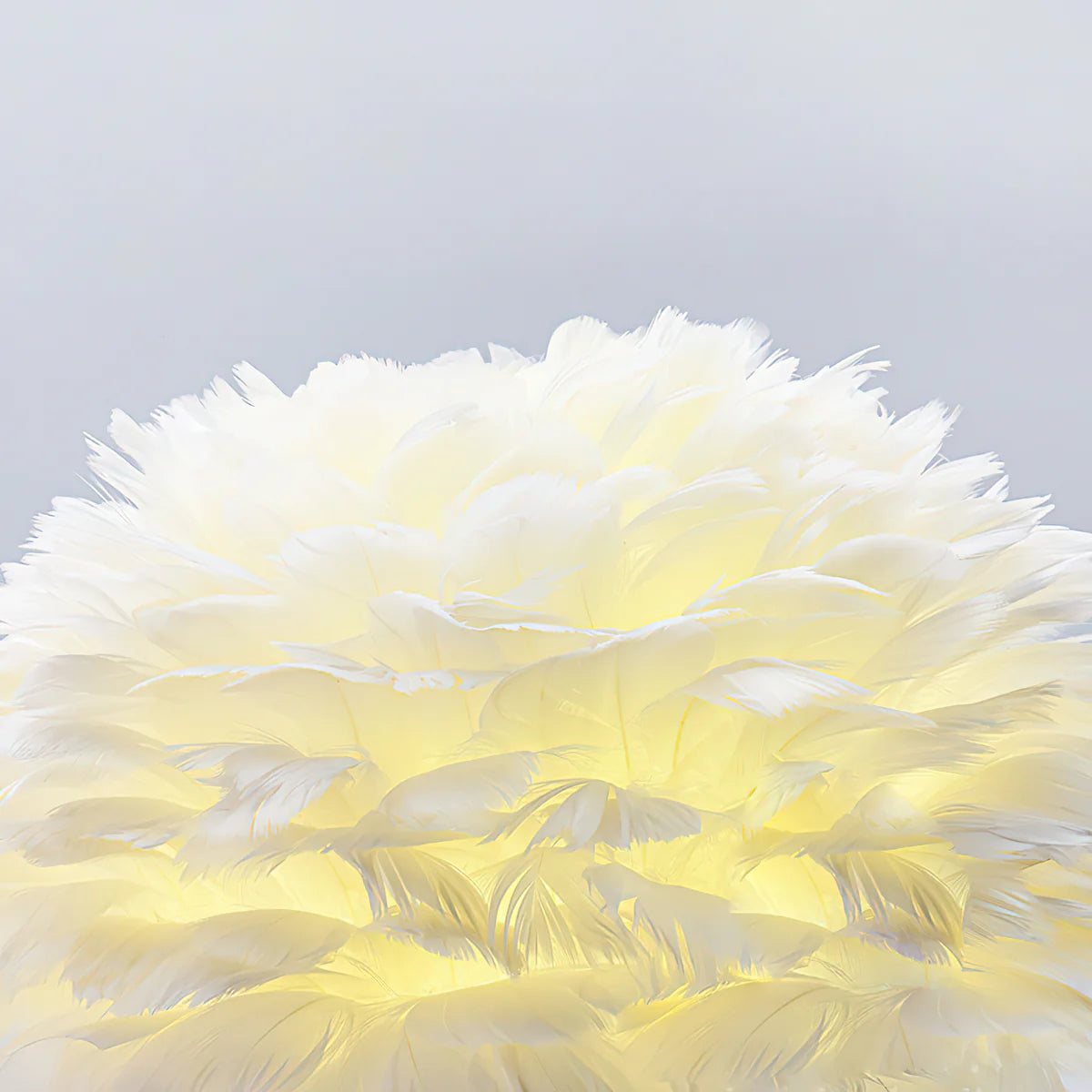 Pink_Feather_Table_Lamp_5