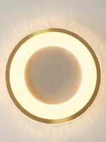 Round_Shape_Flush_Ceiling_Light_1