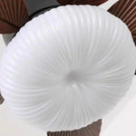 Rovellon_Ceiling_Fan_Lamp_10