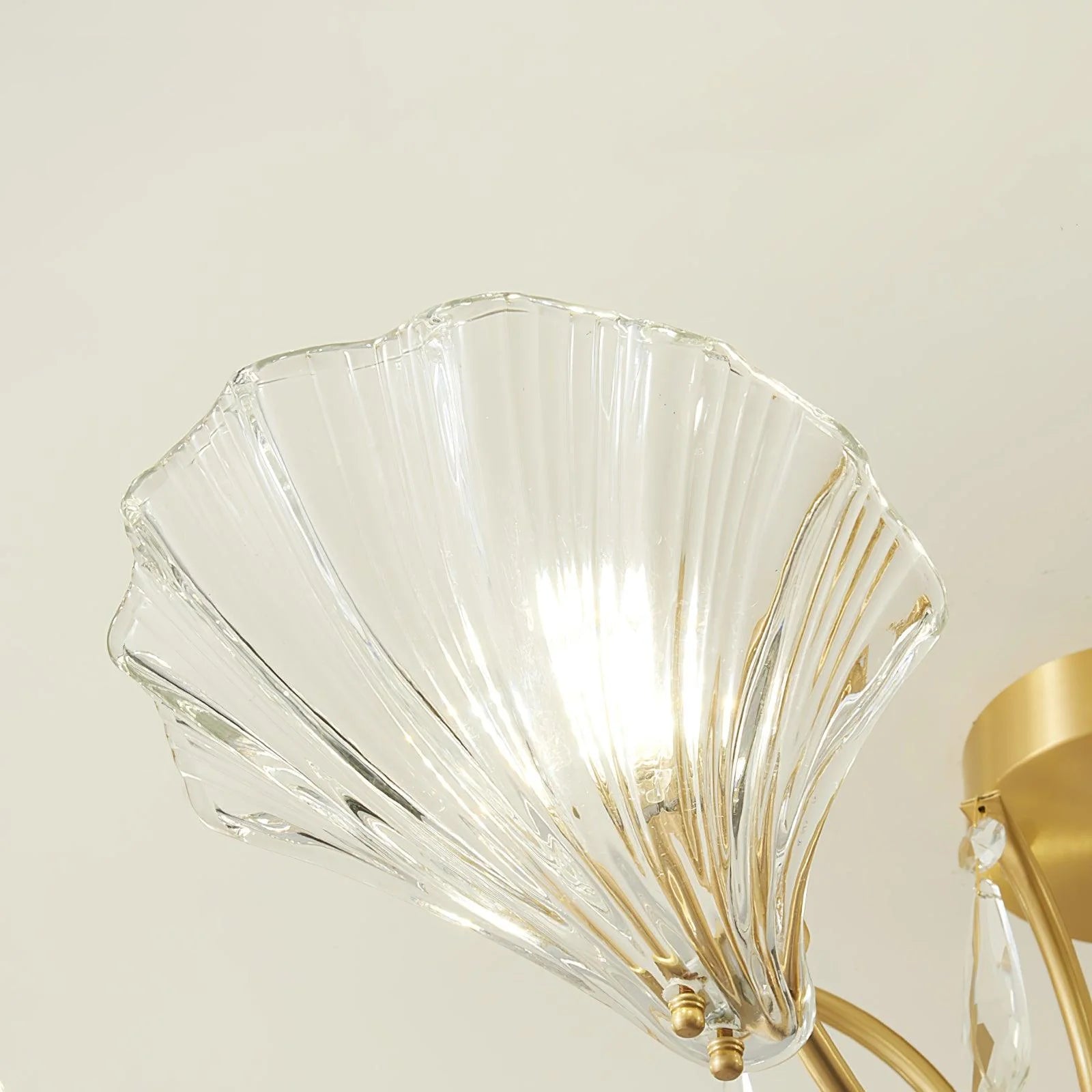 Shell_Brass_Ceiling_Lamp_10