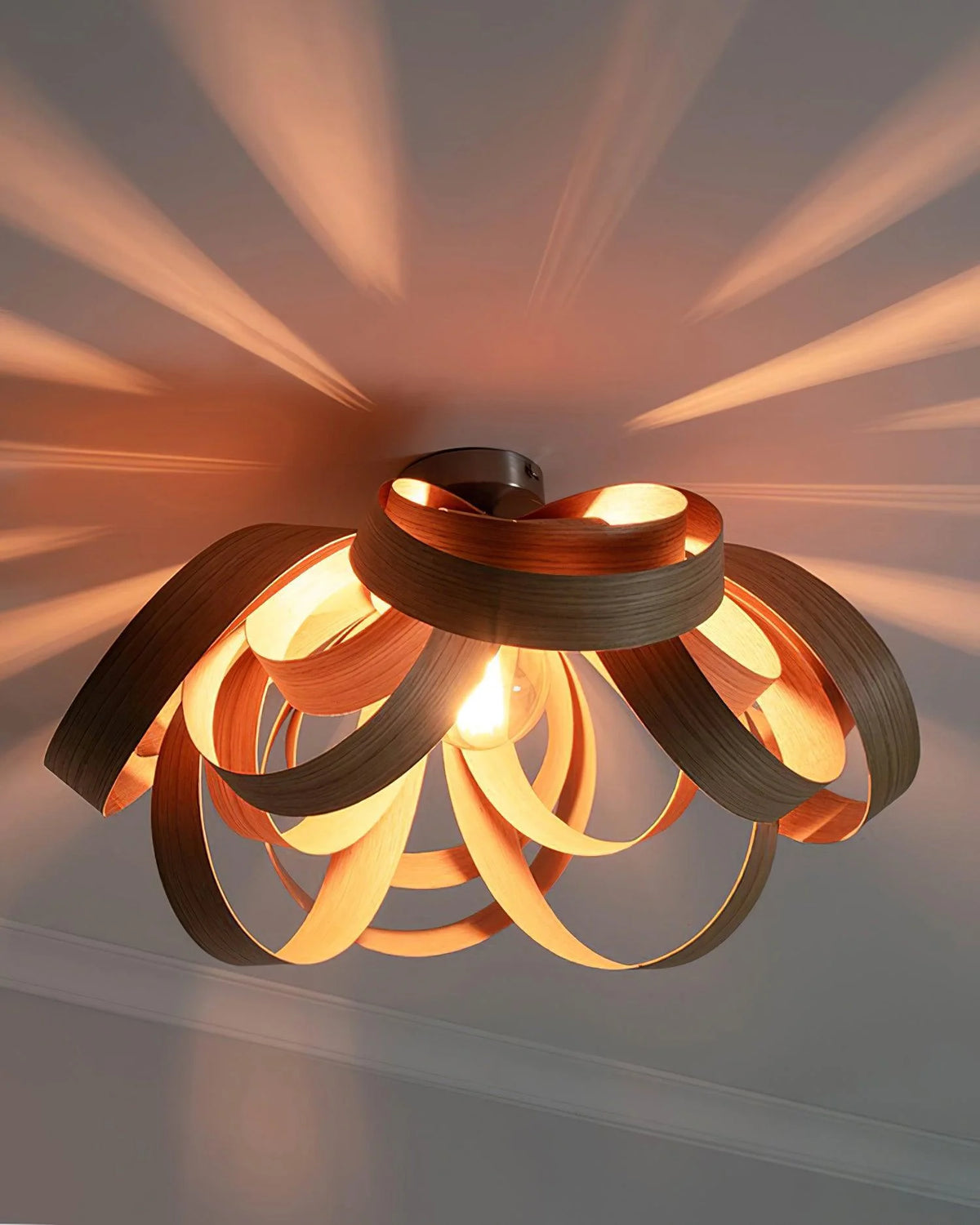 Skipper_Ceiling_Light_7