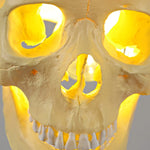 Skull_Pendant_Light_5