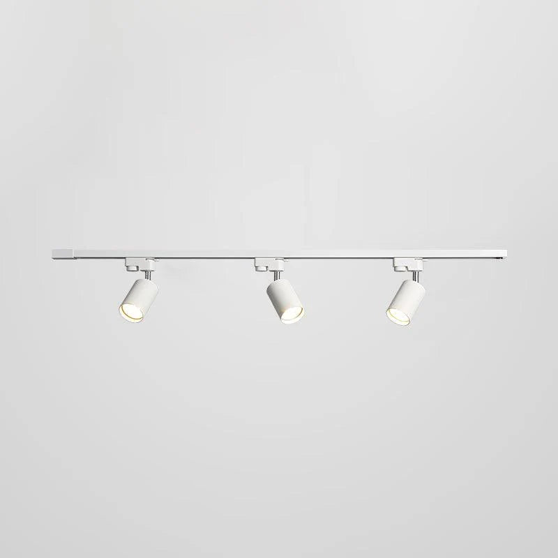 Spotlight_Track_Ceiling_Light_47