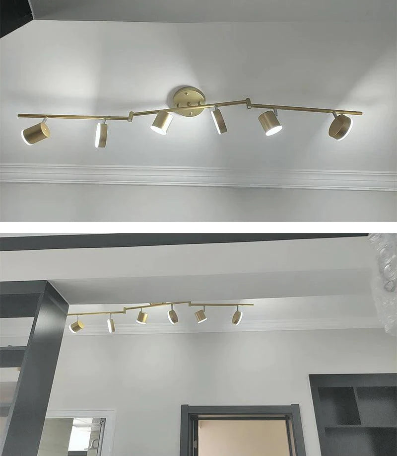 Track_Light_Ceiling_Light_11