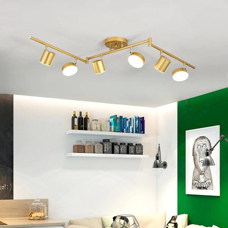 Track_Light_Ceiling_Light_17