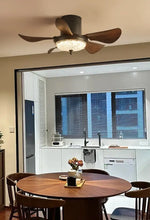 Veldrin_Ceiling_Fan_Lamp_6