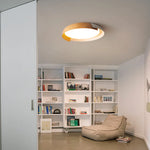 Vikaey_Ceiling_Light_2